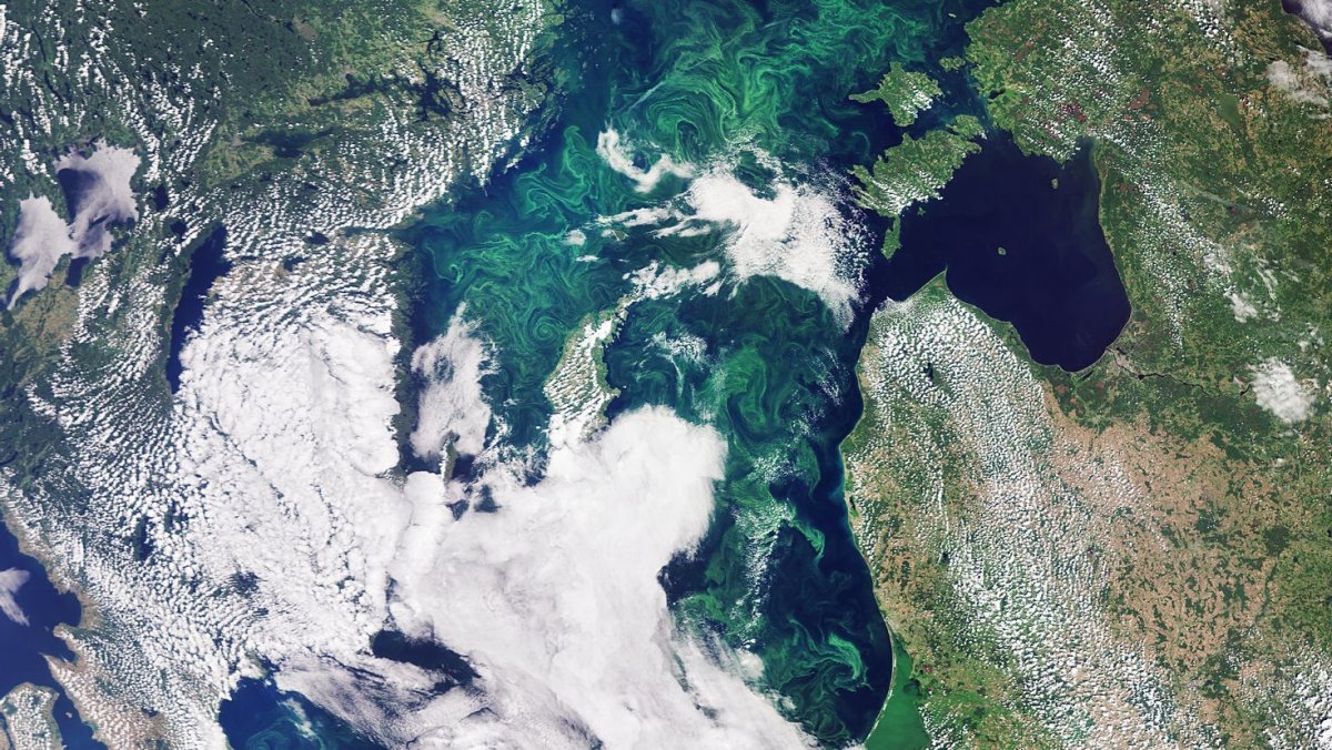 Саргассово море со спутника