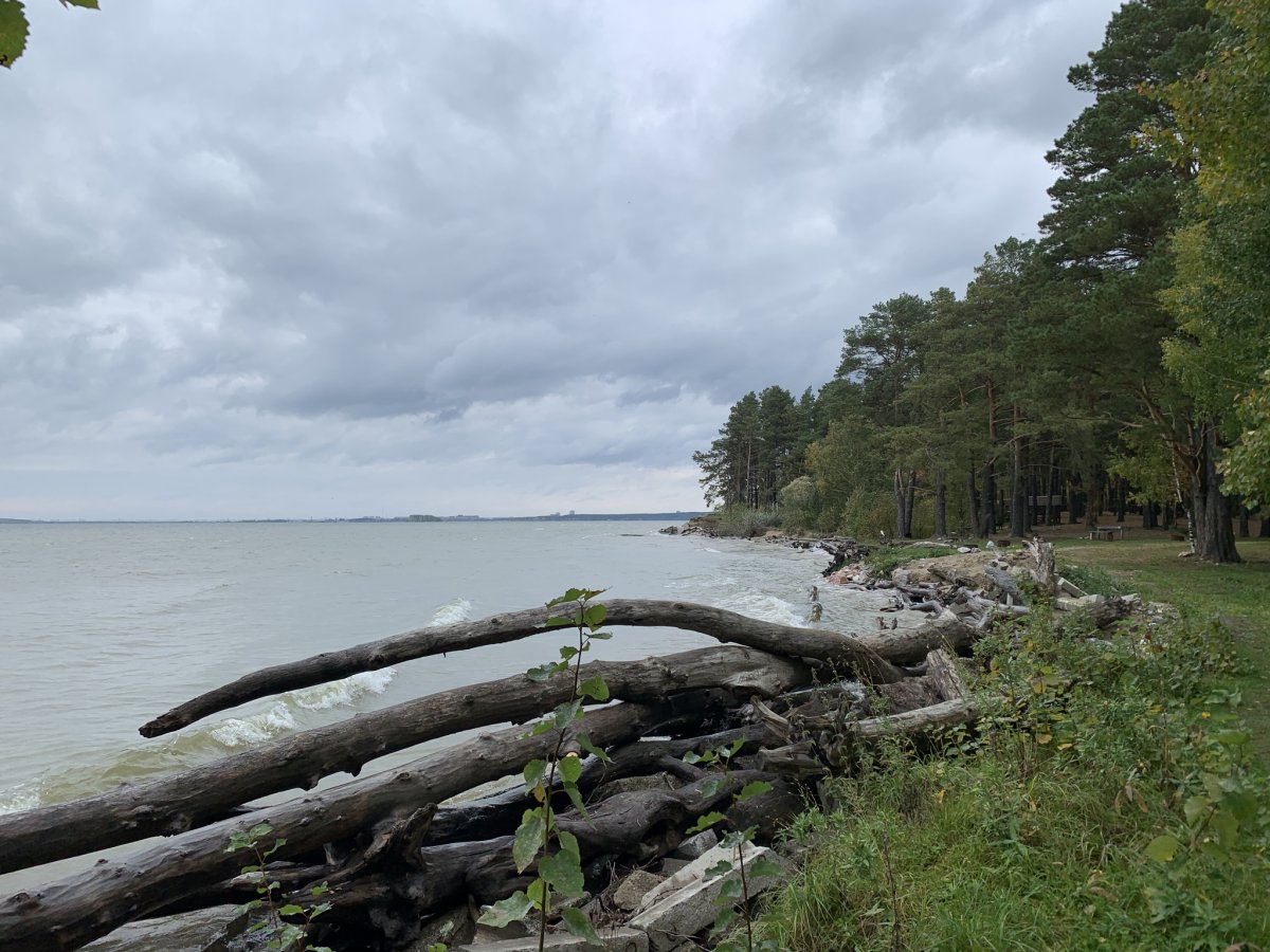 Обское море Новосибирск Боровое