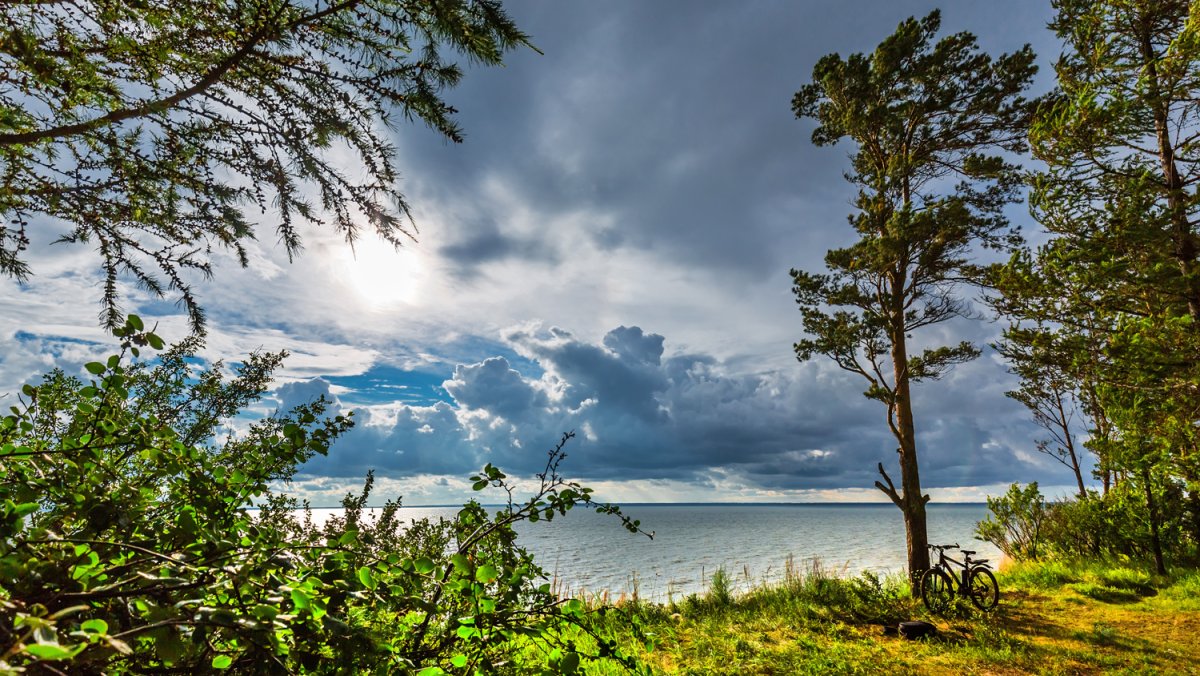 Бердск море