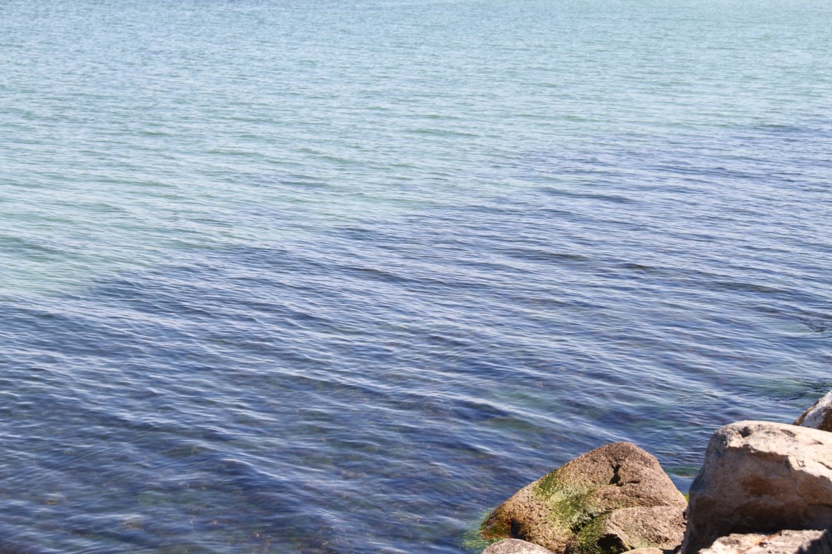 Вода в заливе