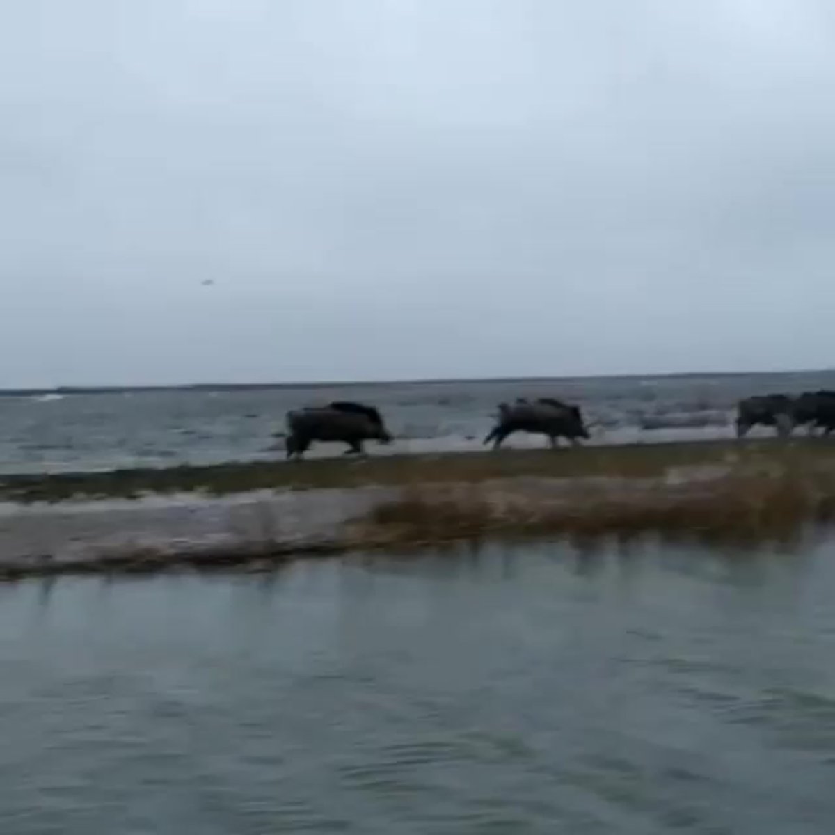 Раскаты Каспия в мае