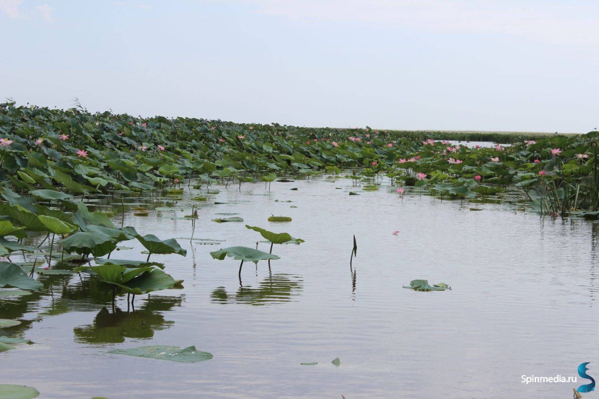 Раскаты Каспийского моря