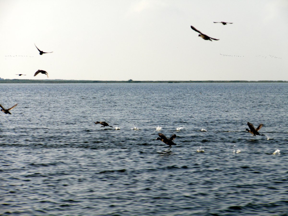 Взморье Каспийского моря