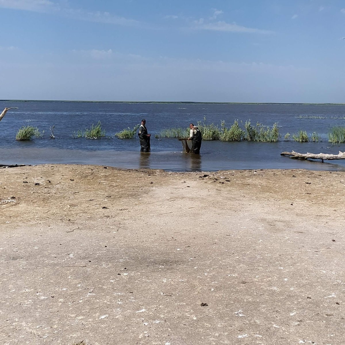 Обжоровский участок Астраханского заповедника