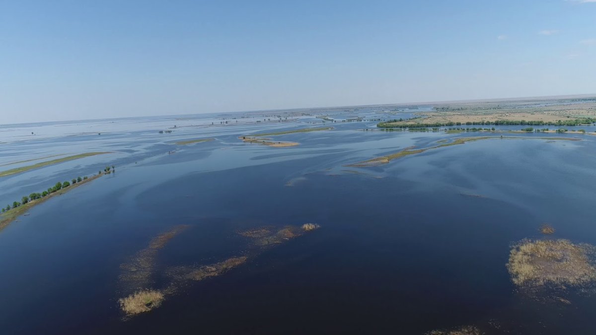 Дельта Волги у Каспия