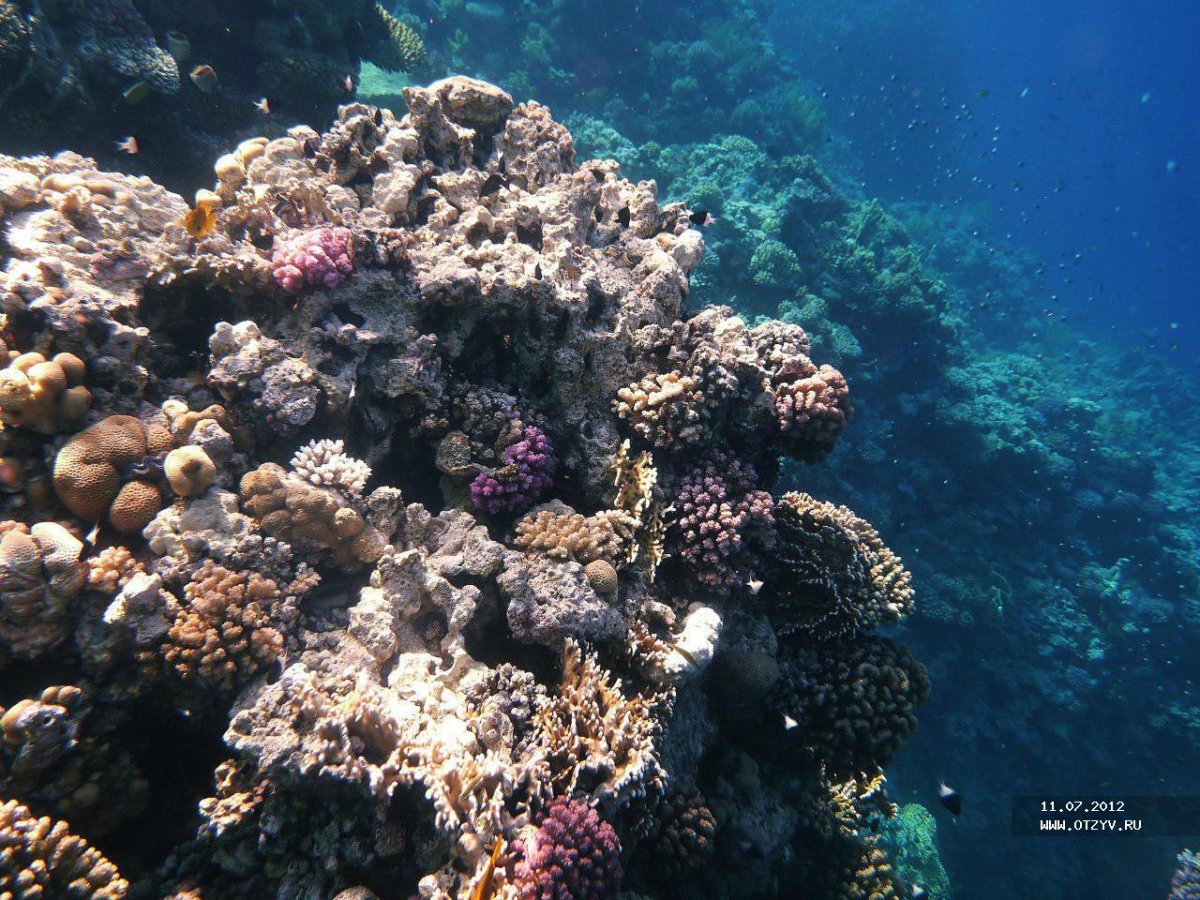 Красные дома у моря