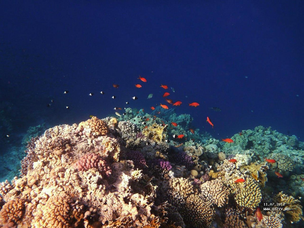 Красное море Шарм-Эль-Шейх