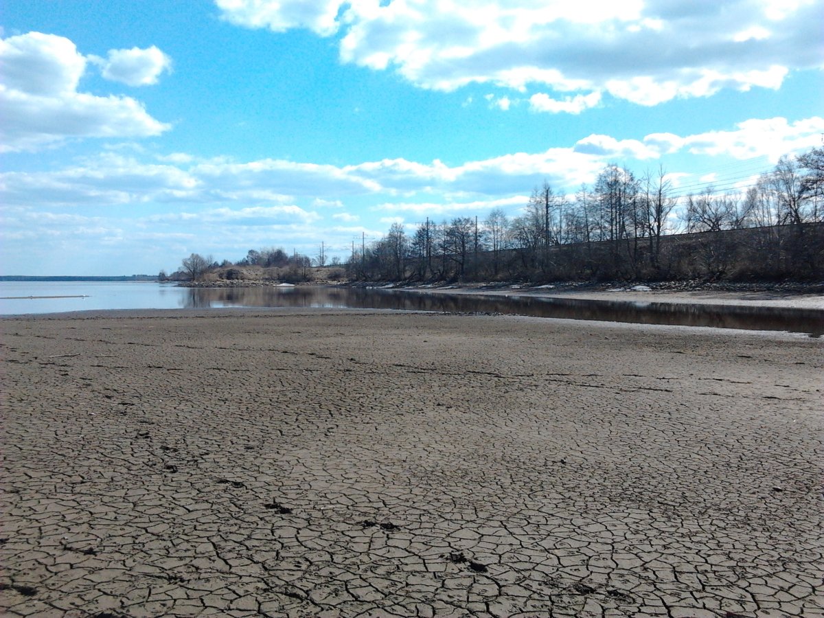 Станция Московское море