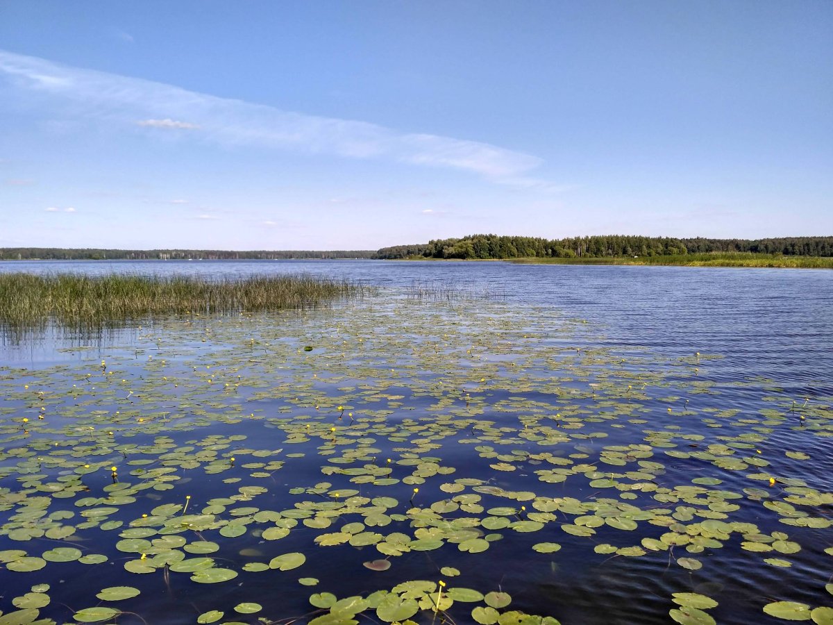 Московское море Иваньковское водохранилище