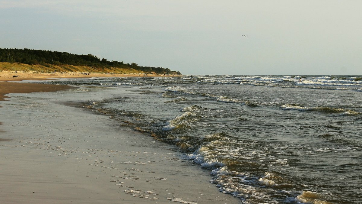 Кармараны Балтийское море
