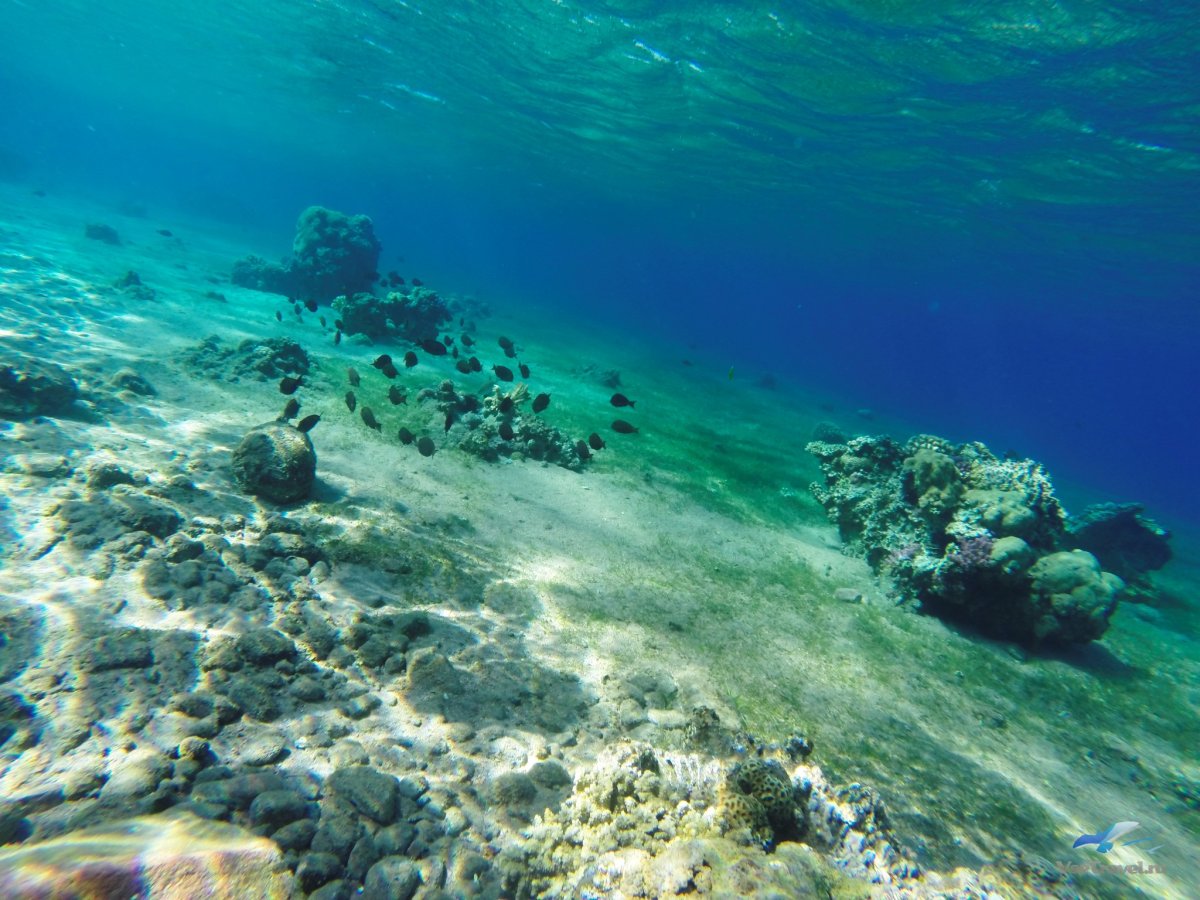 Красное море Акаба