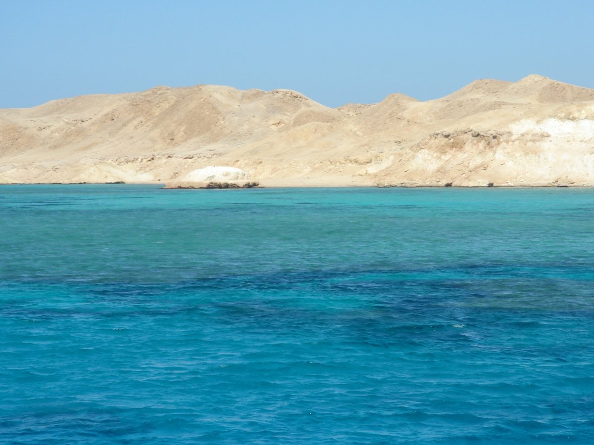 Красное море Египет