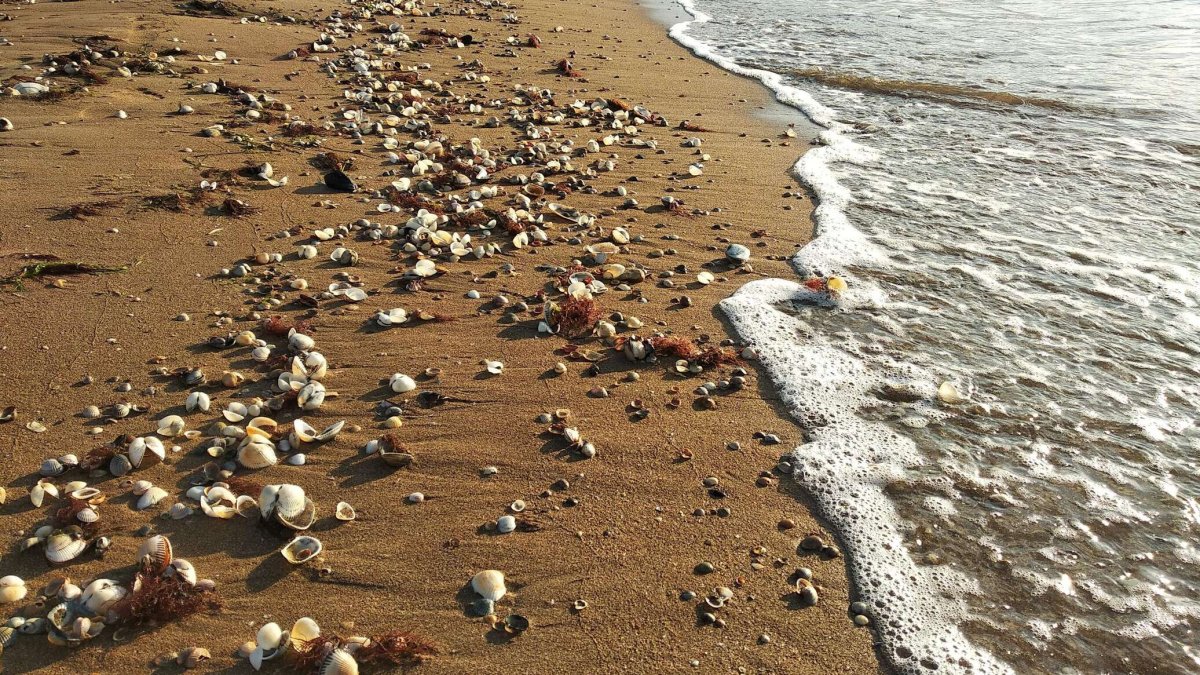Азовское море