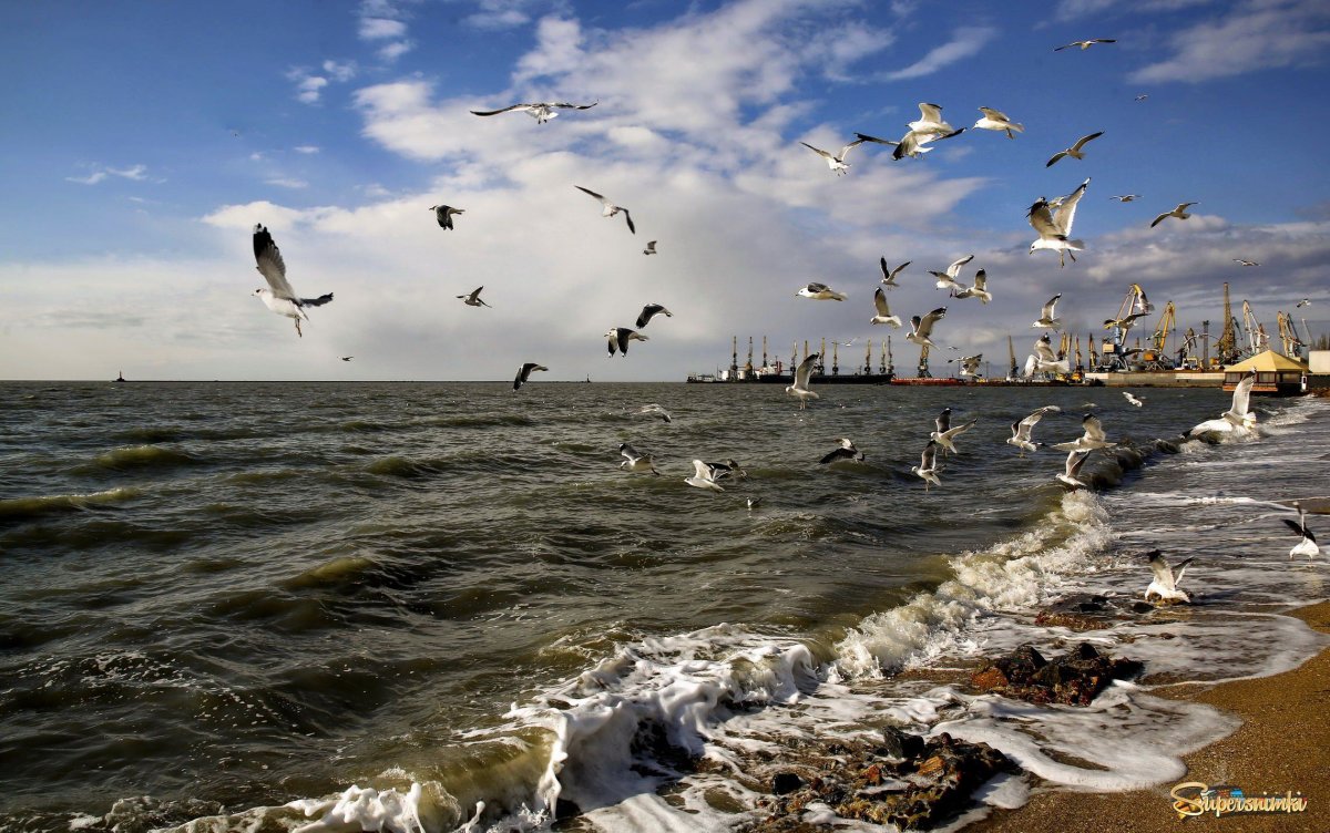 Бердянск море красивые фото