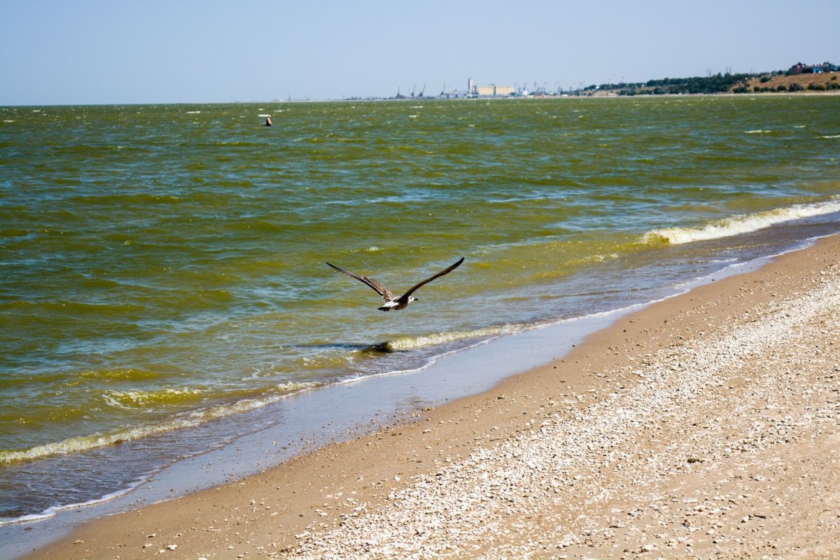 Азовское море Ейск