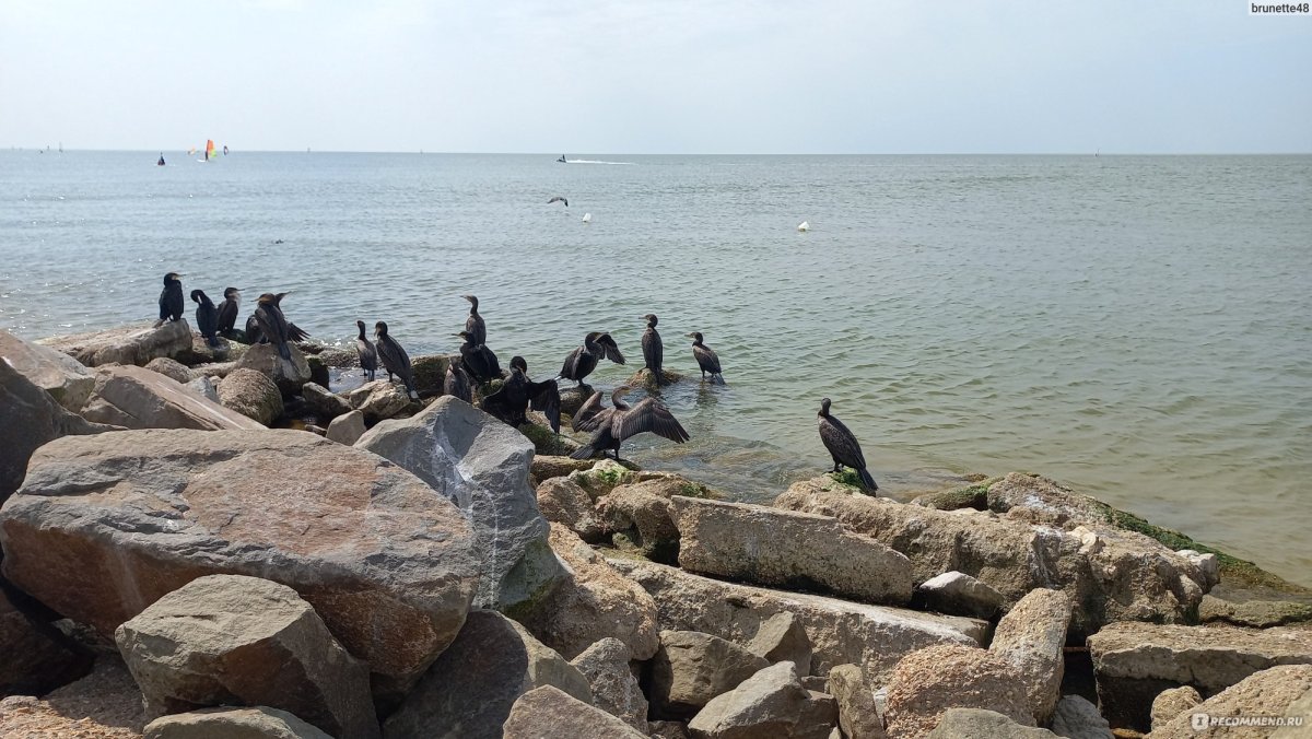 Станицы на Азовском море