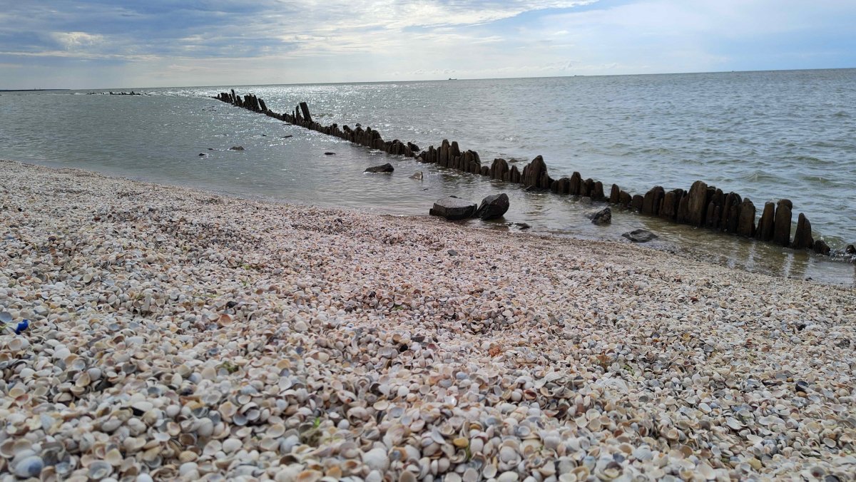 Ейск черное море