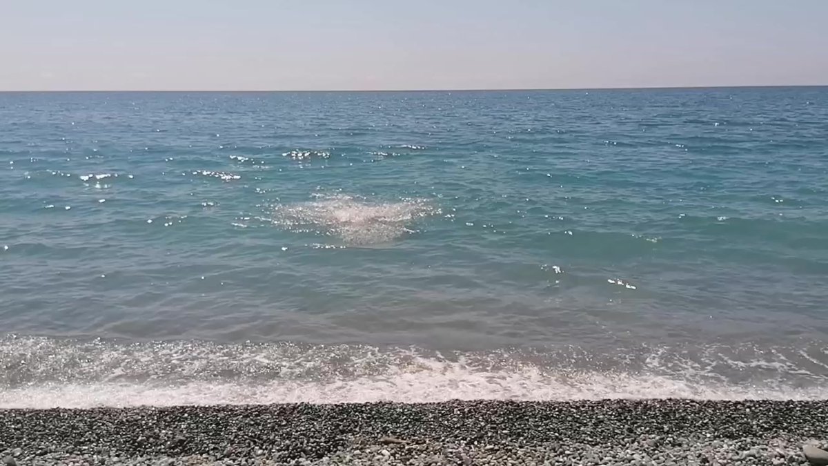 Адзюбжа Абхазия море