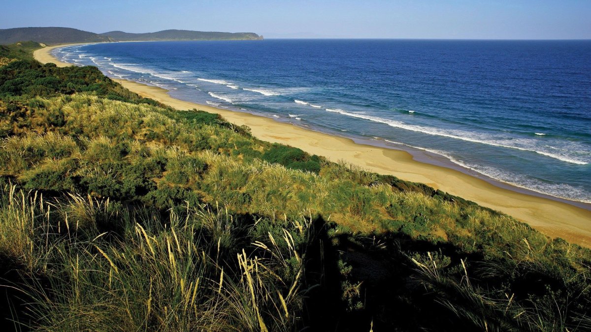 High Coast Beach Анапа
