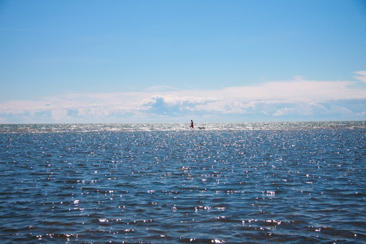 Краснообск Обское море