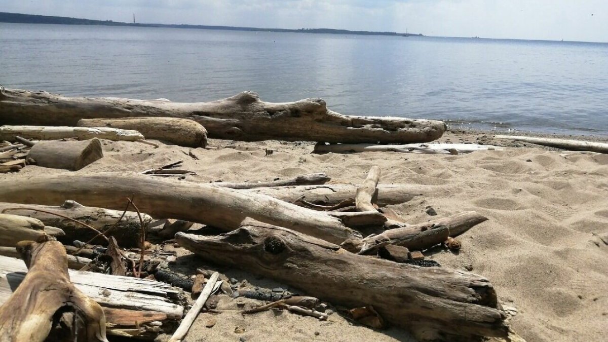 Обское водохранилище