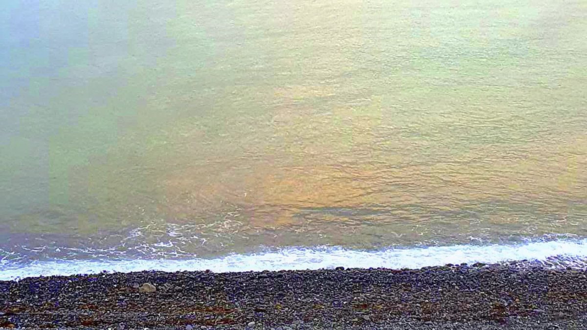 Свечение моря в Крыму