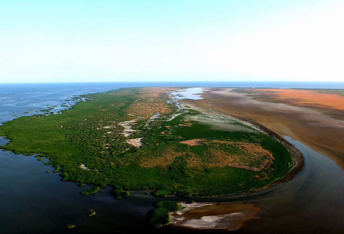 Тюленьи острова Каспийское море