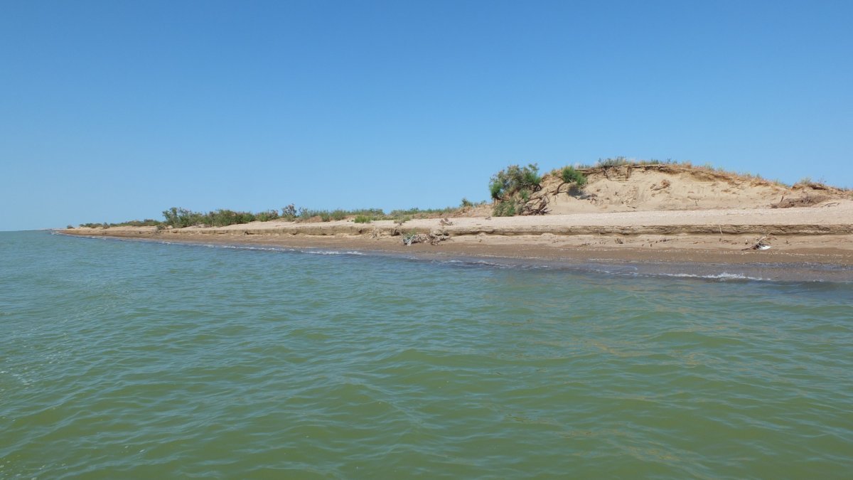 Тюленьи острова Каспийское море
