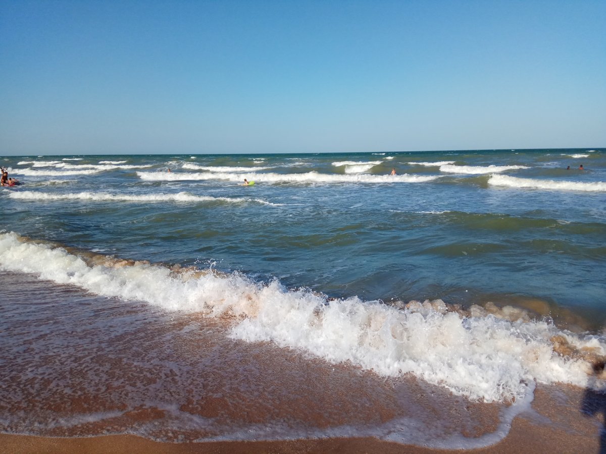 Азовское море 2006
