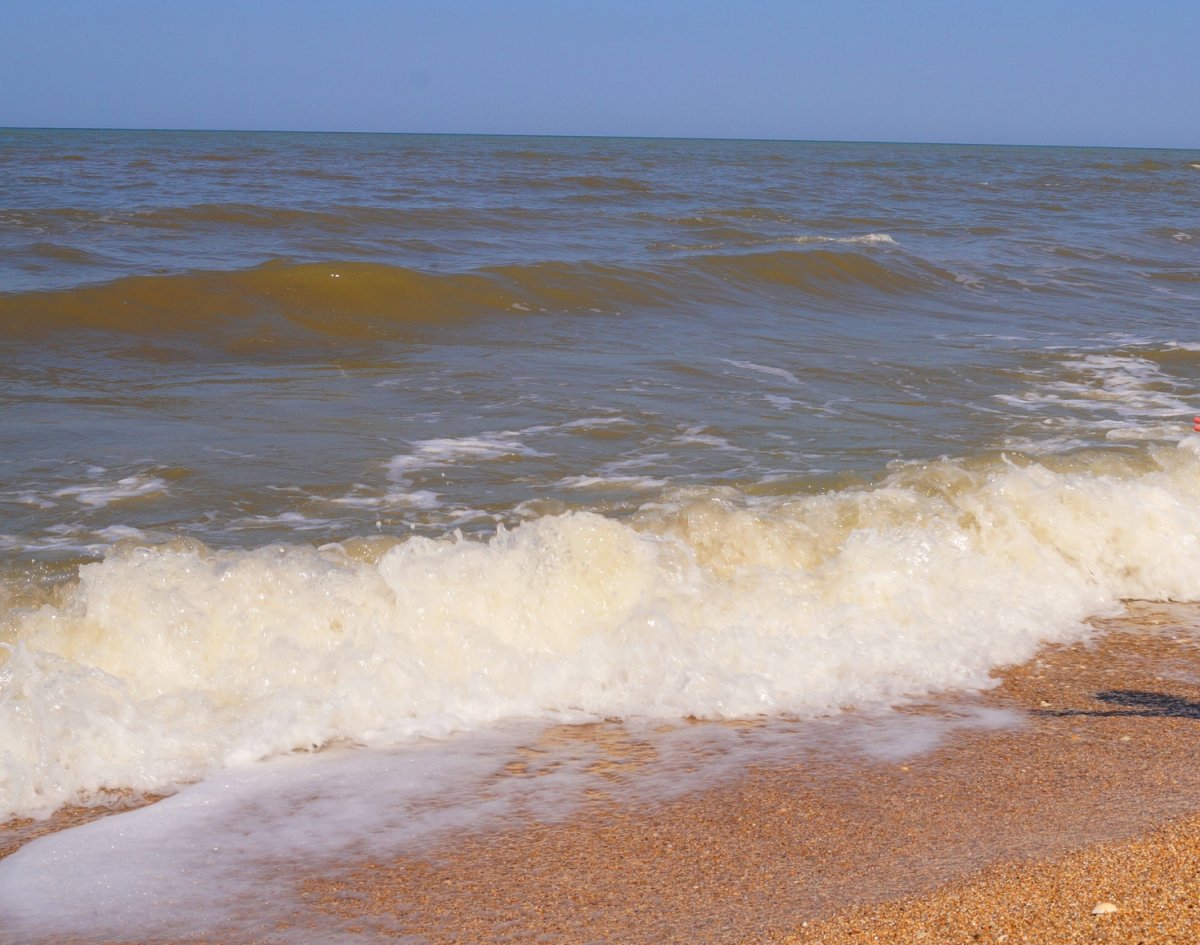 Вучичевич Азовское море