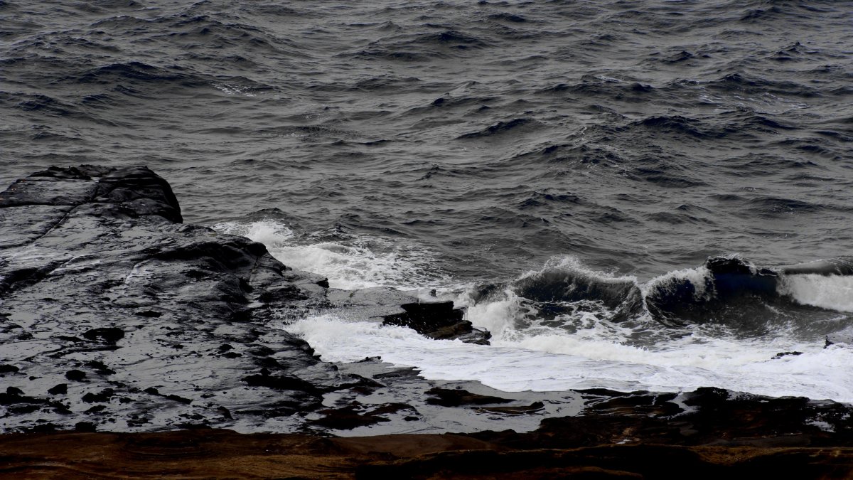 Wave Terrain