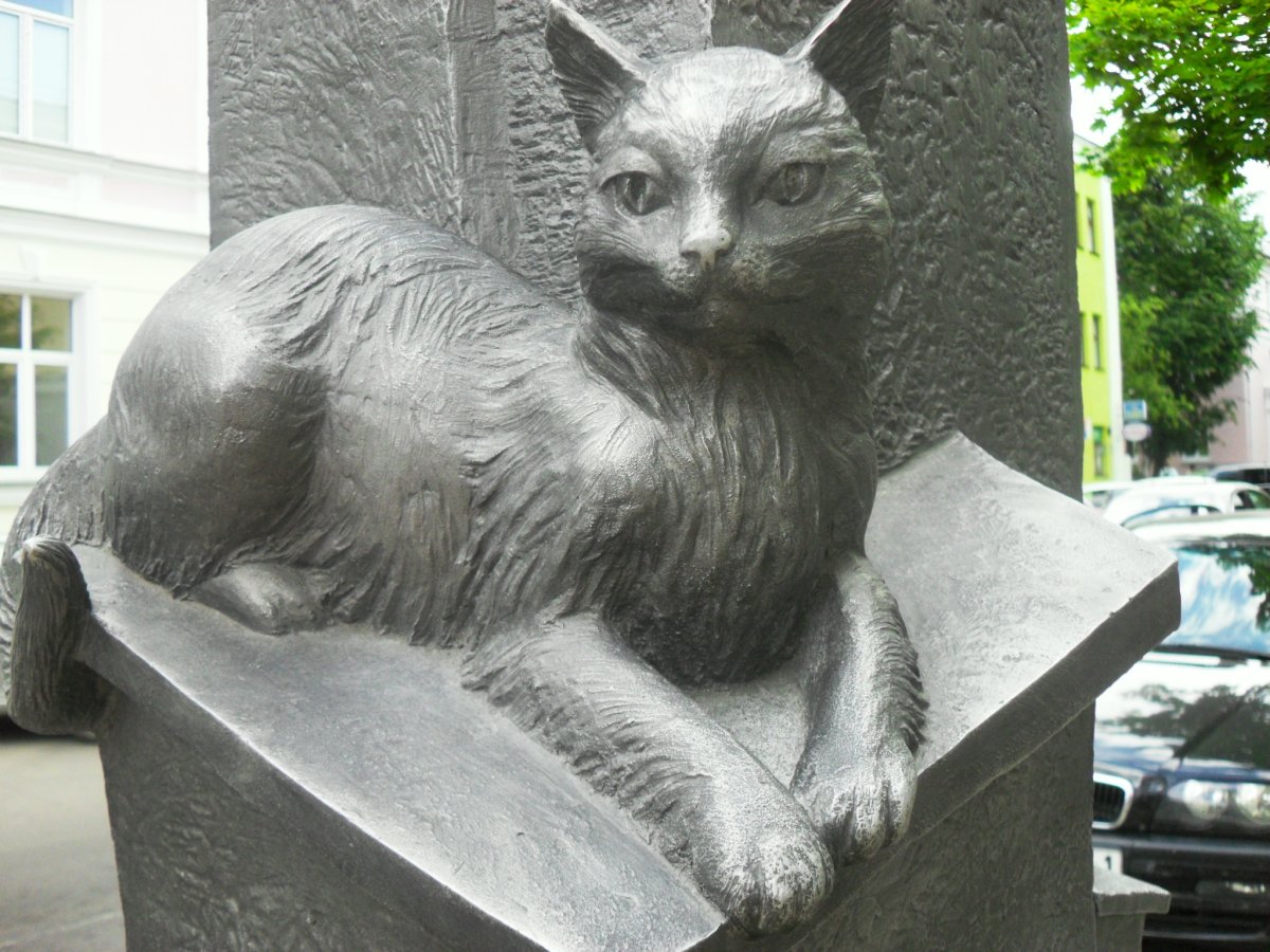 Памятник коту