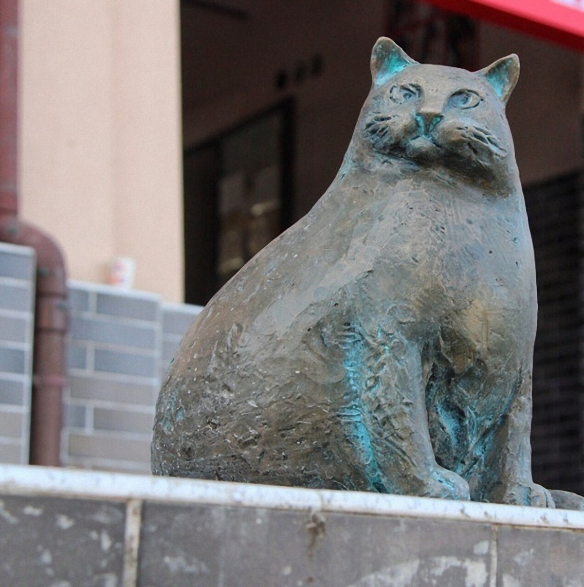 Базарина кошка