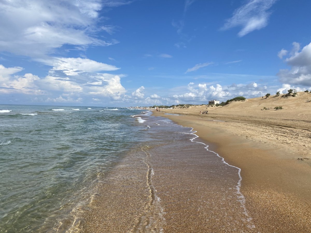 Черное море Витязево