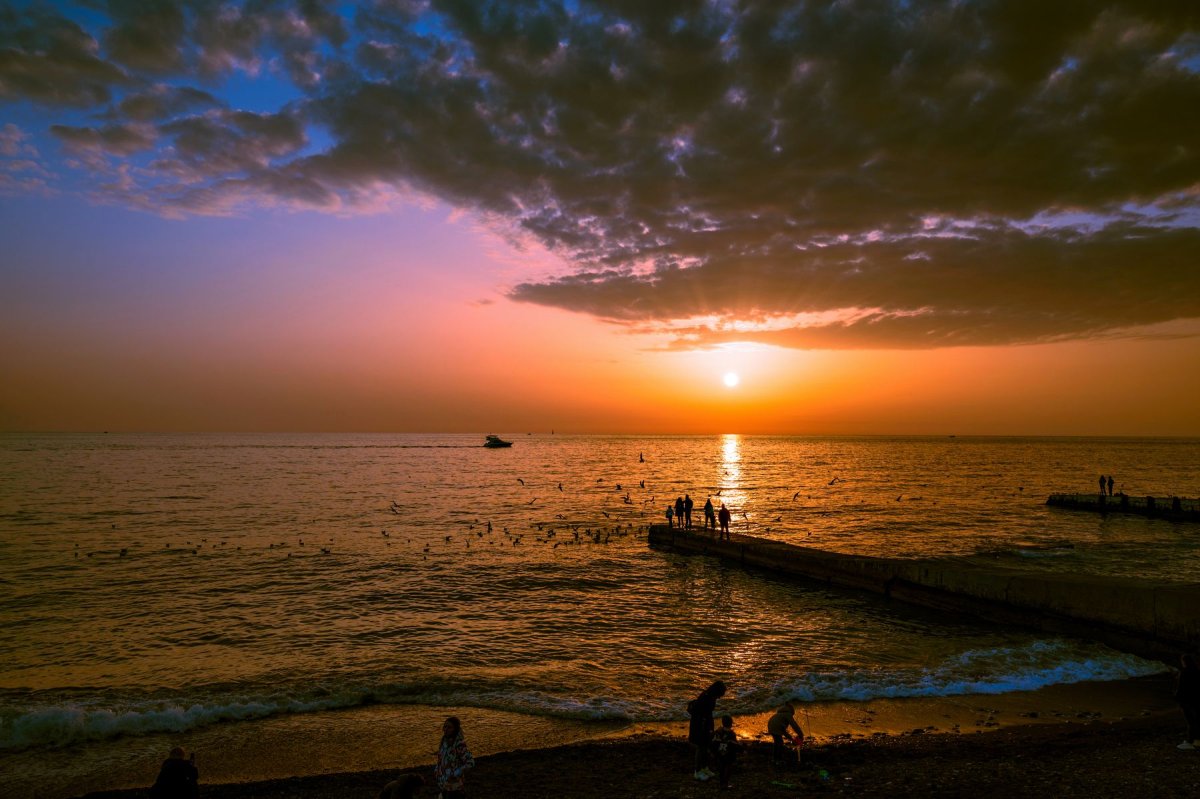 Кипарис на закате у моря фото