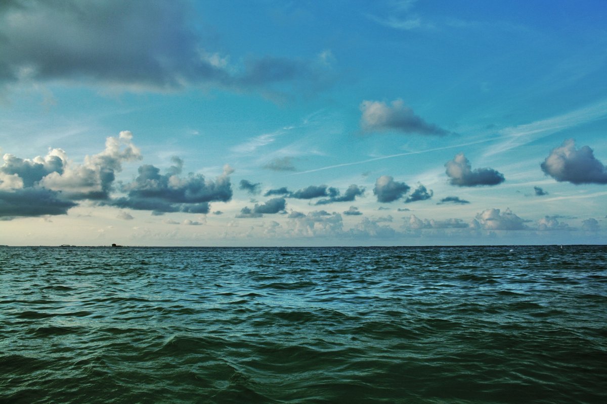 Osbourne see Sea