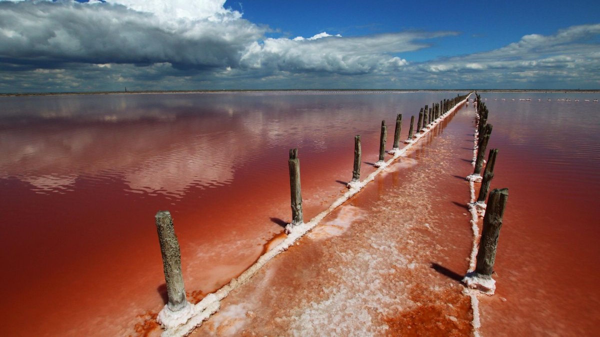 Сиваш гнилое море