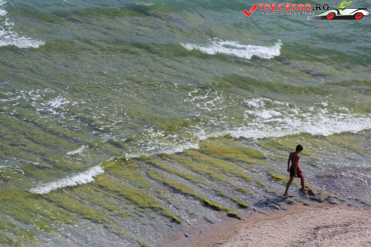 Черное море соленое