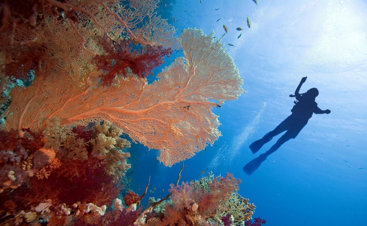Красное море внутреннее