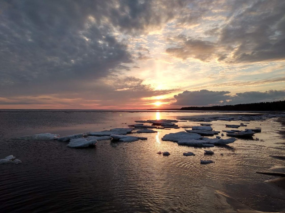 Финский залив Балтийского моря