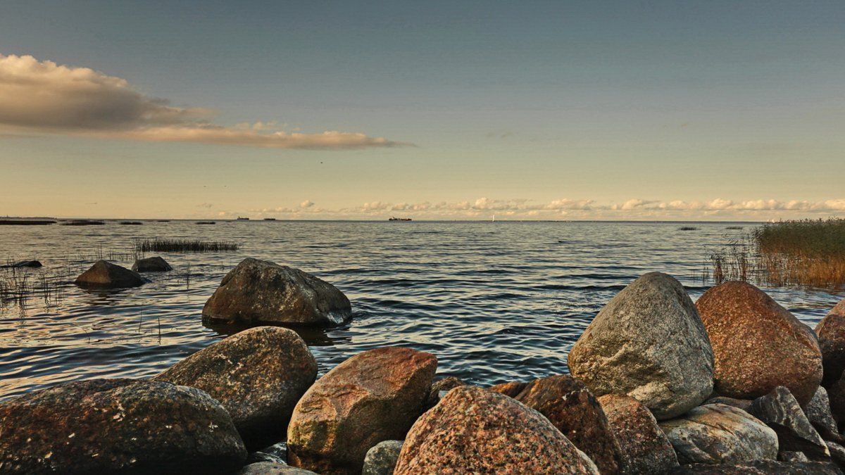 Берег Балтийского моря финский залив