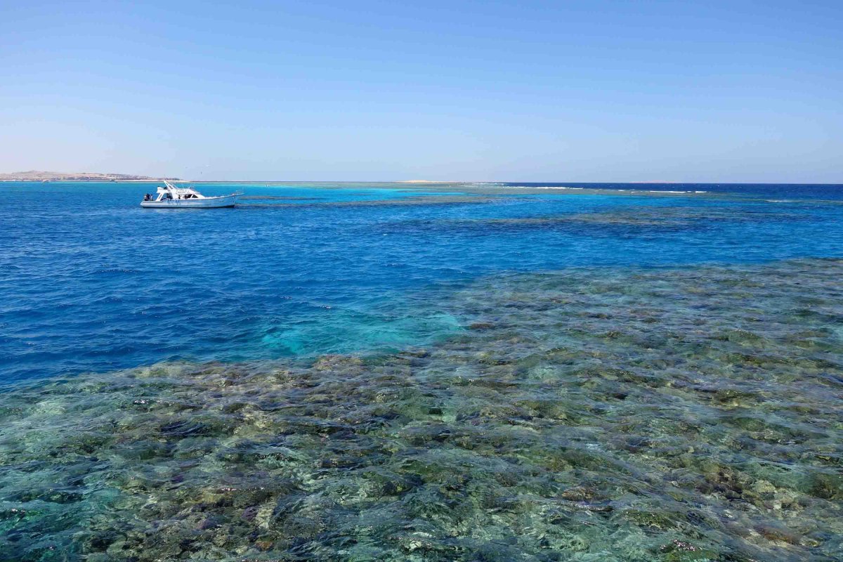 Красное море Египет