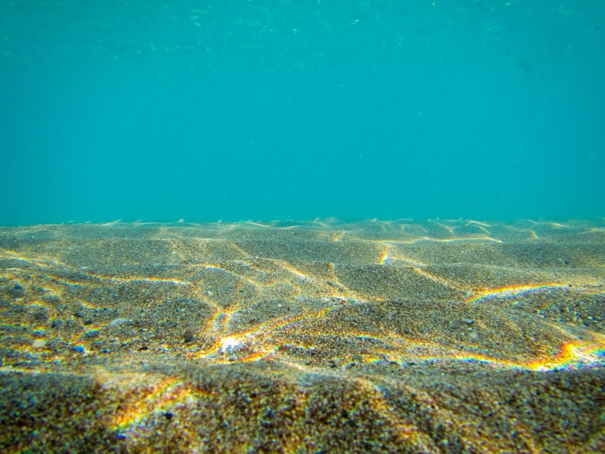 Поверхность моря
