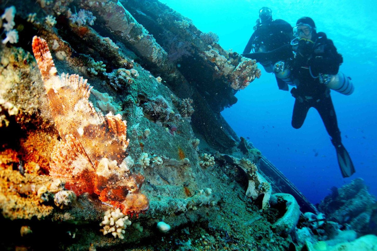 Рэки красного моря