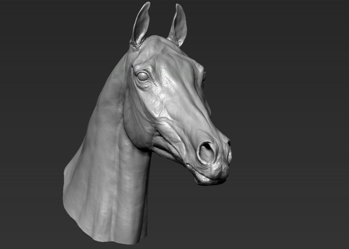 Лошадь Zbrush