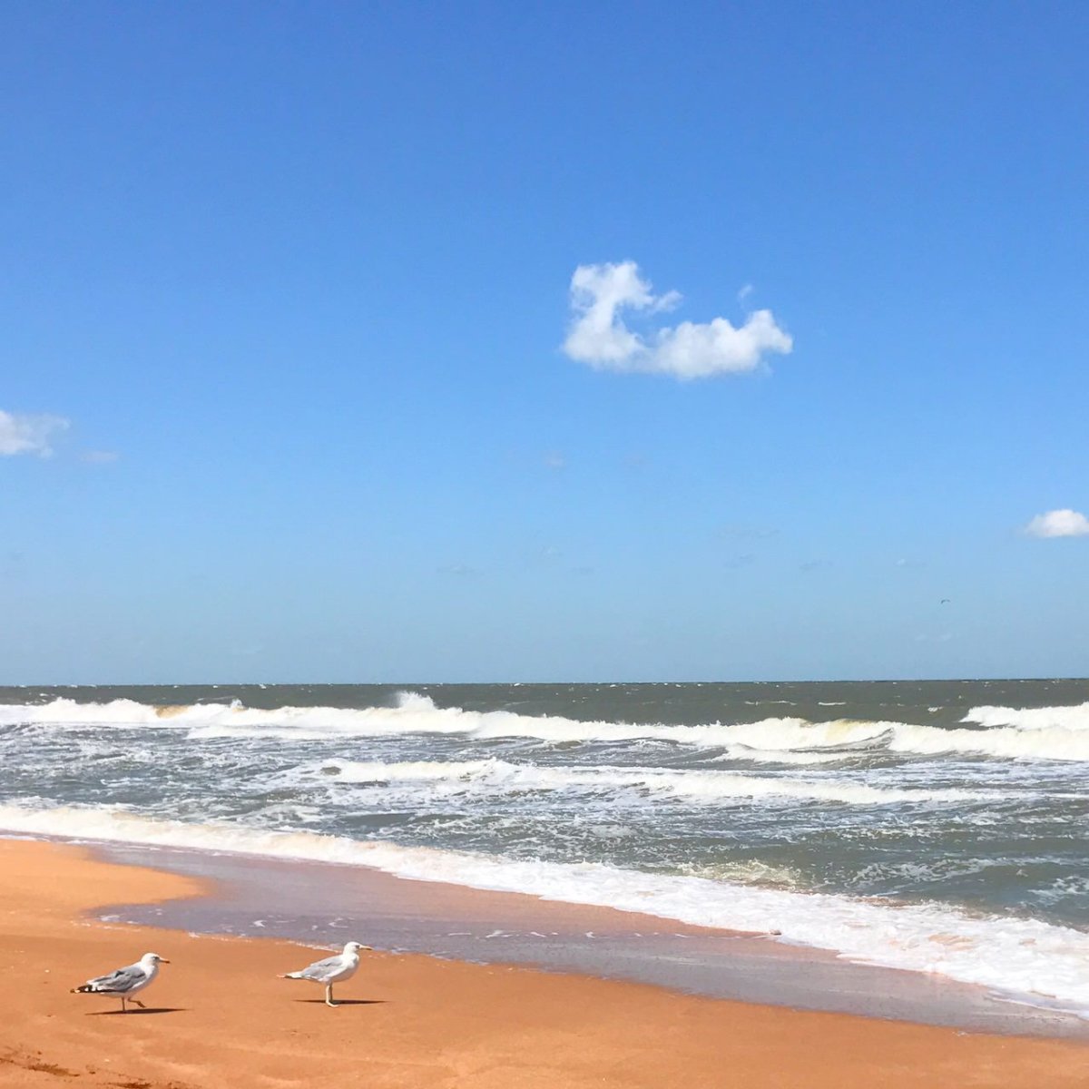 Ачуево Азовское море