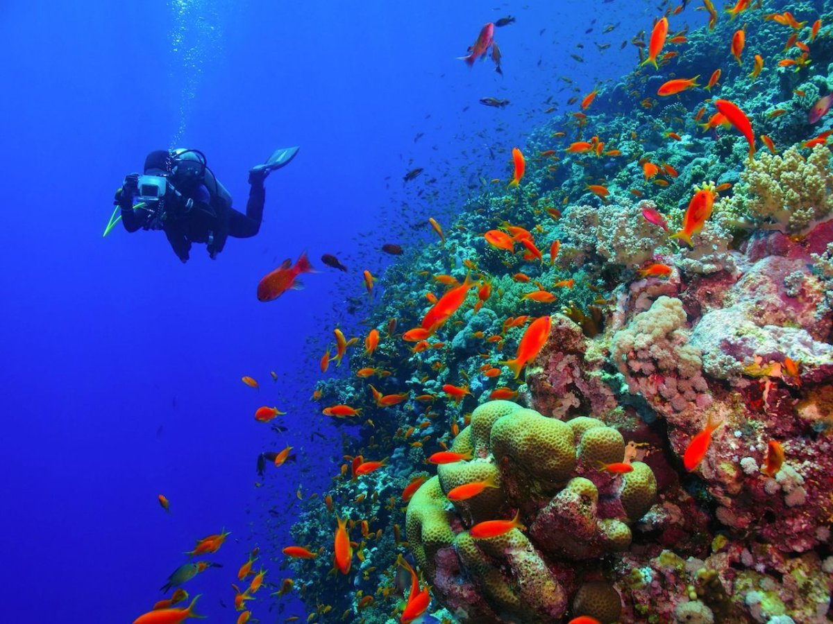 Красное море
