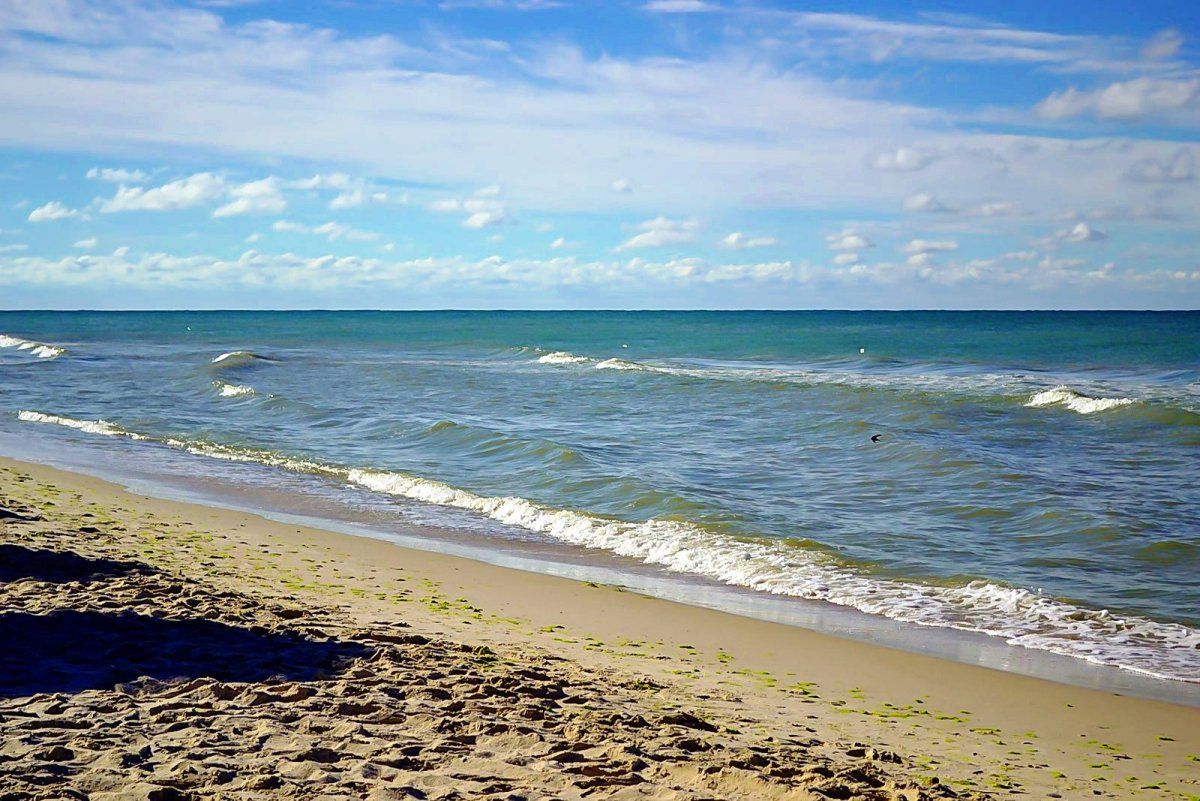 Молочное море