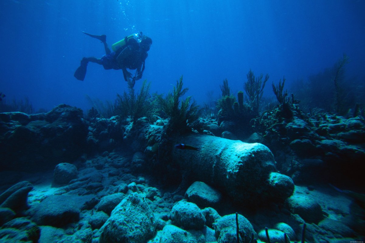 Дайвинг моря дно черного моря