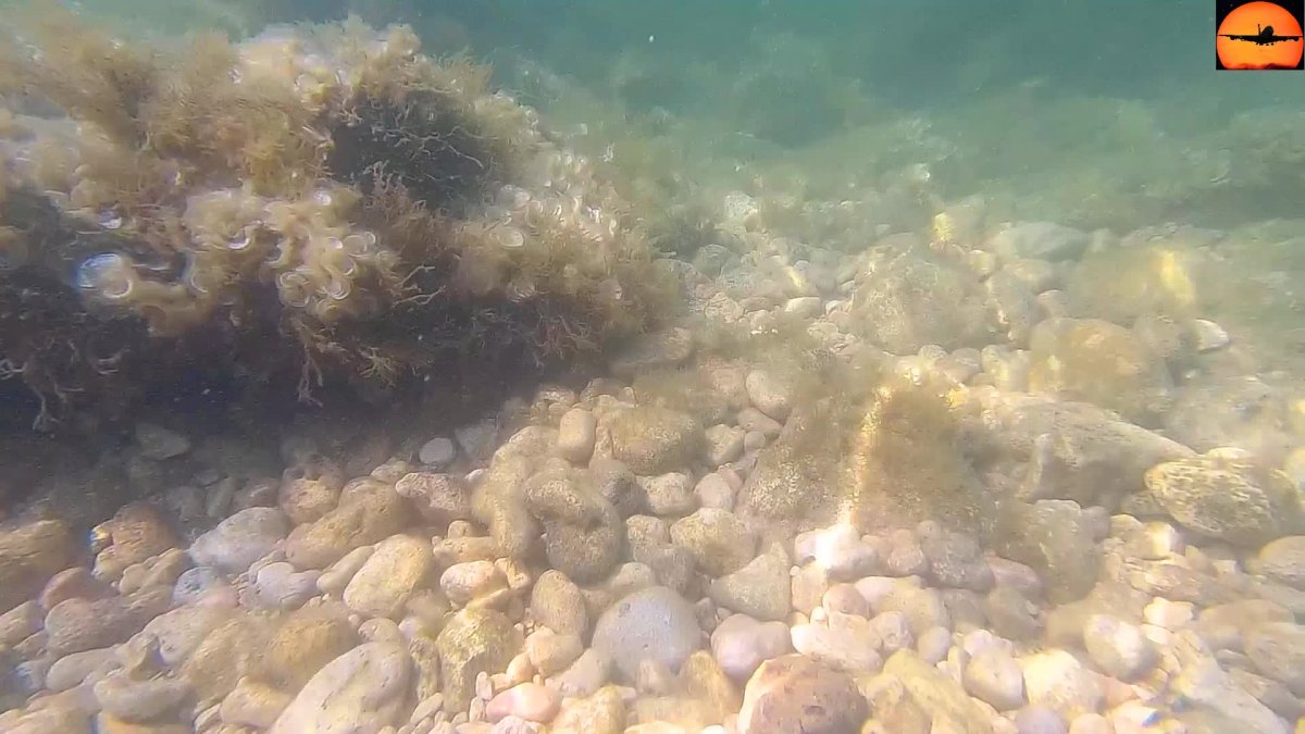 Черноморское море